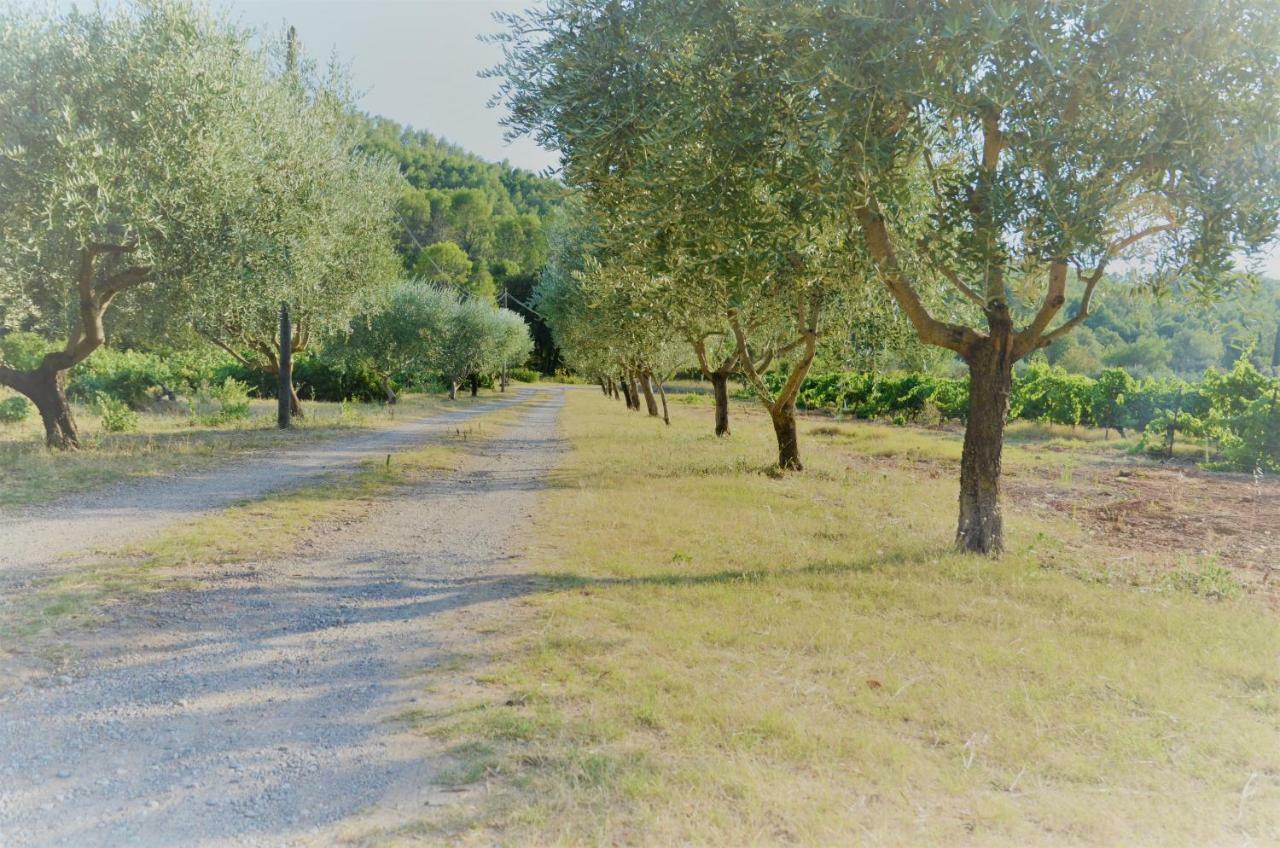 Apartmán Domaine Hemmitage Salernes Exteriér fotografie